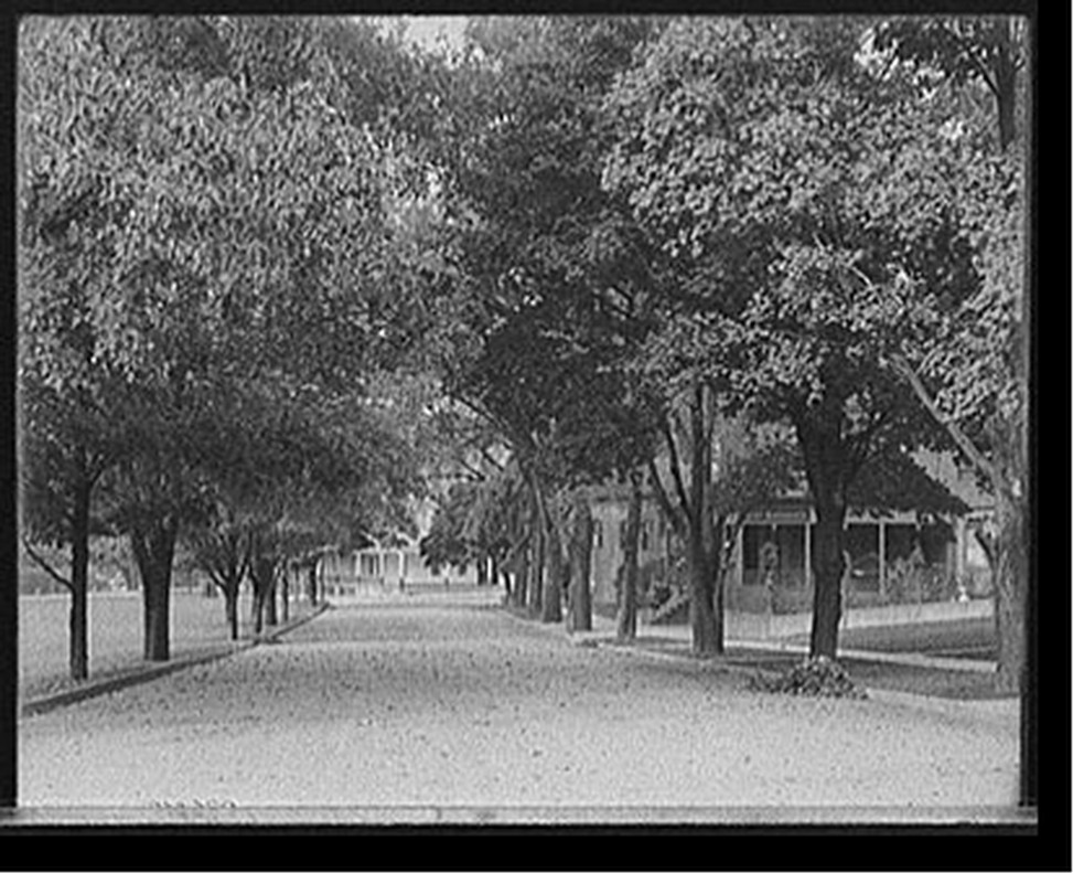 [Buffalo Avenue and Hotel Kaltenbach, Niagara Falls, N.Y.], [between 1905 and 1920] — historic photograph