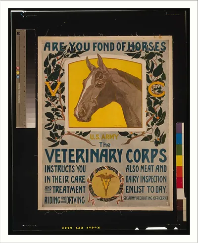 Are you fond of horses - U.S. Army - The Veterinary Corps instructs you in their care and treatment riding and driving / Horst Schreck.