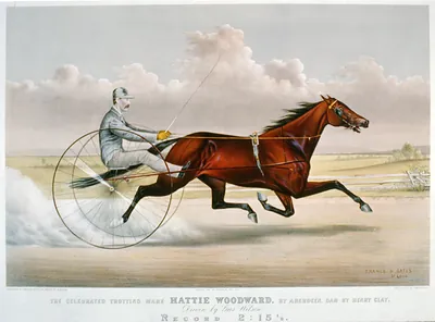 The celebrated trotting mare Hattie Woodward, by Aberdeen, dam by Henry Clay: driven by Gus Wilson