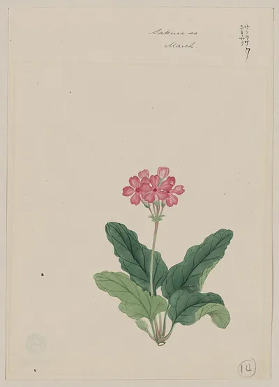 [Japanese drawing]