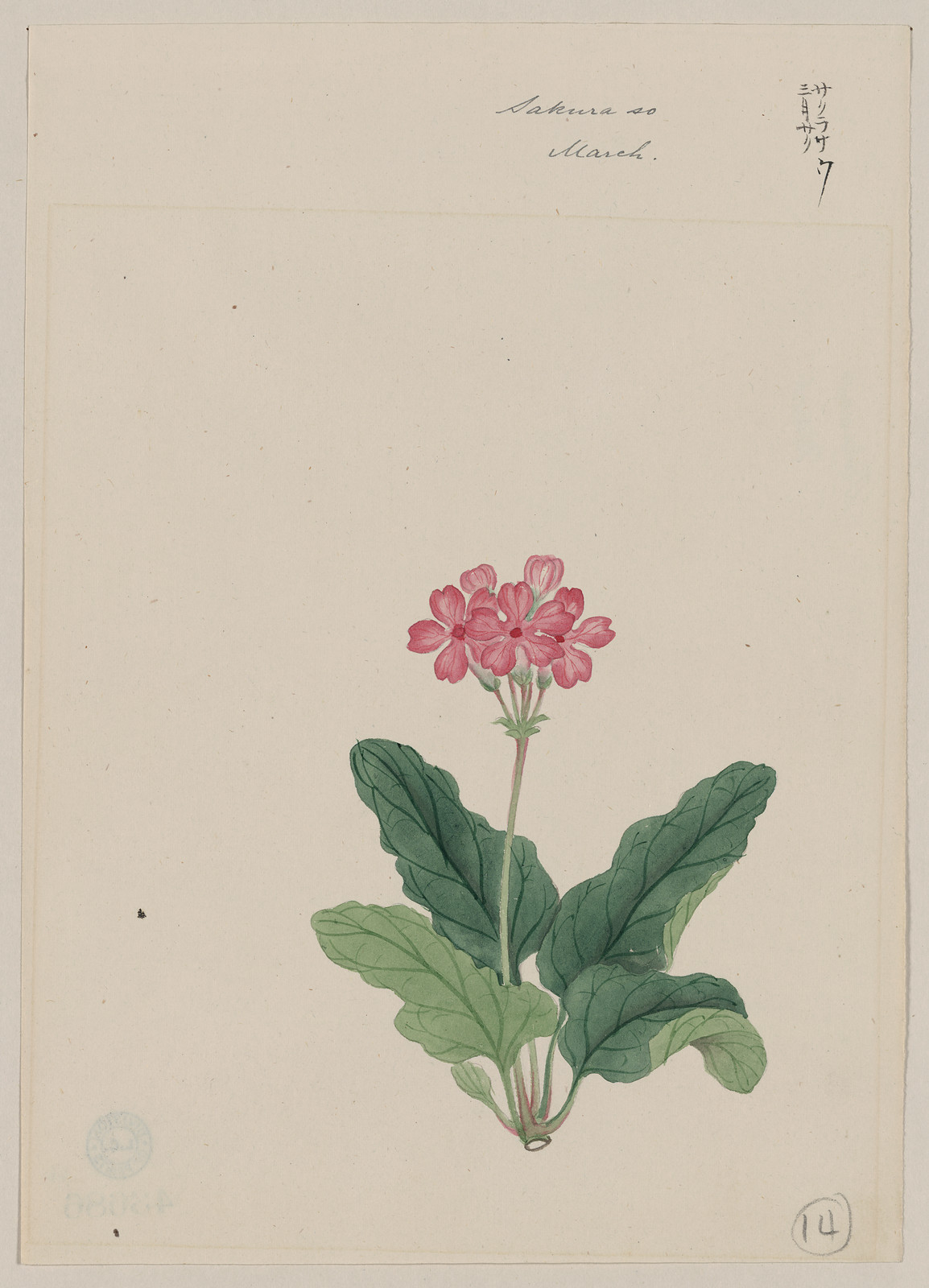 [Japanese drawing], 1750 — historic drawing