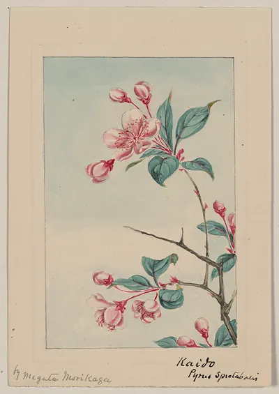 [Japanese drawing]