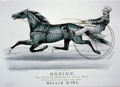 Bodine: The trotting whirlwind of the West