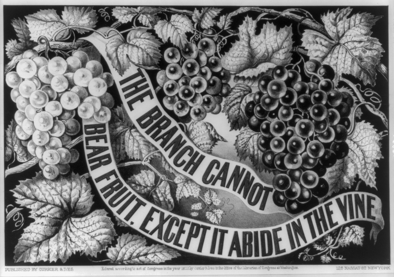 The Branch cannot bear fruit, except it abide in the vine, [New York] : Currier & Ives, 1872. — antique lithograph