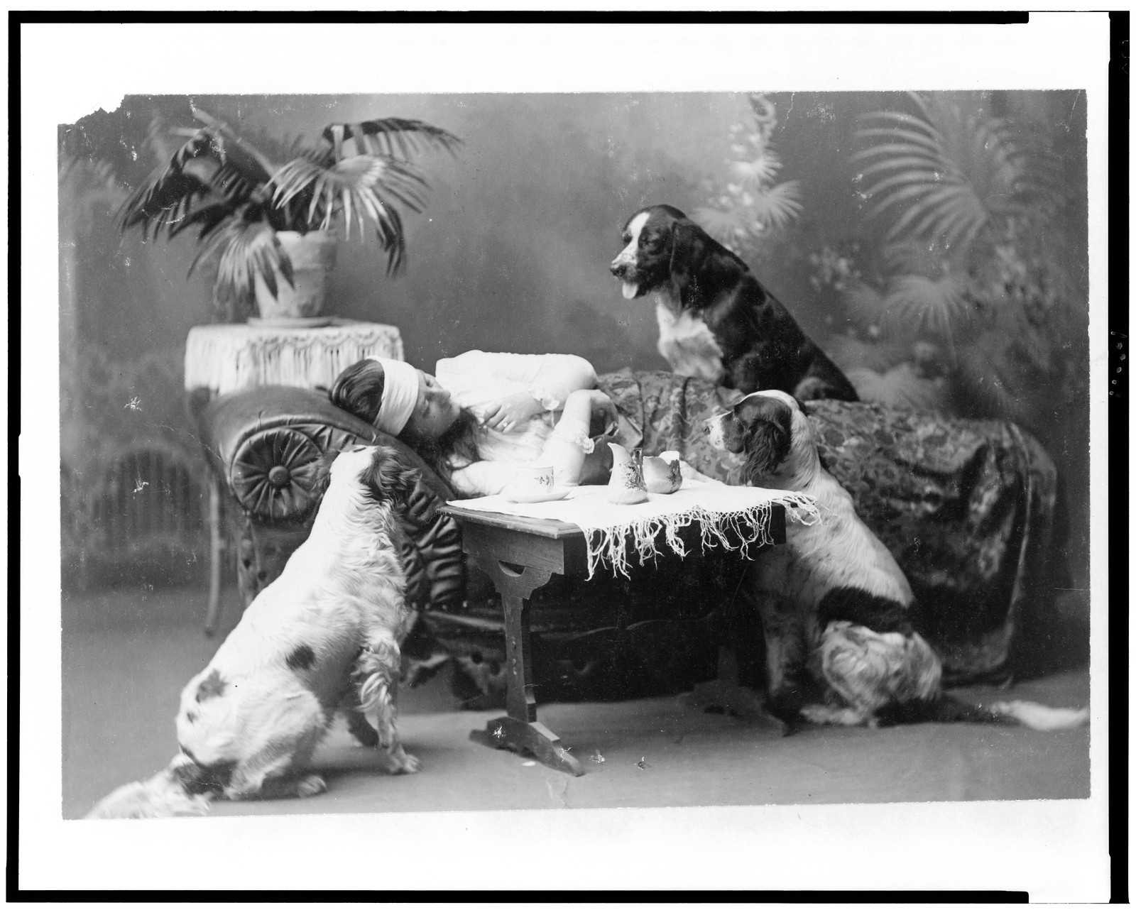 [Woman, who appears to be ill, lying on couch, with three dogs looking on], c1903. — historic photograph