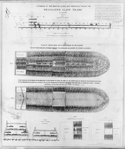 Stowage of the British slave ship Brookes under the regulated slave trade act of 1788