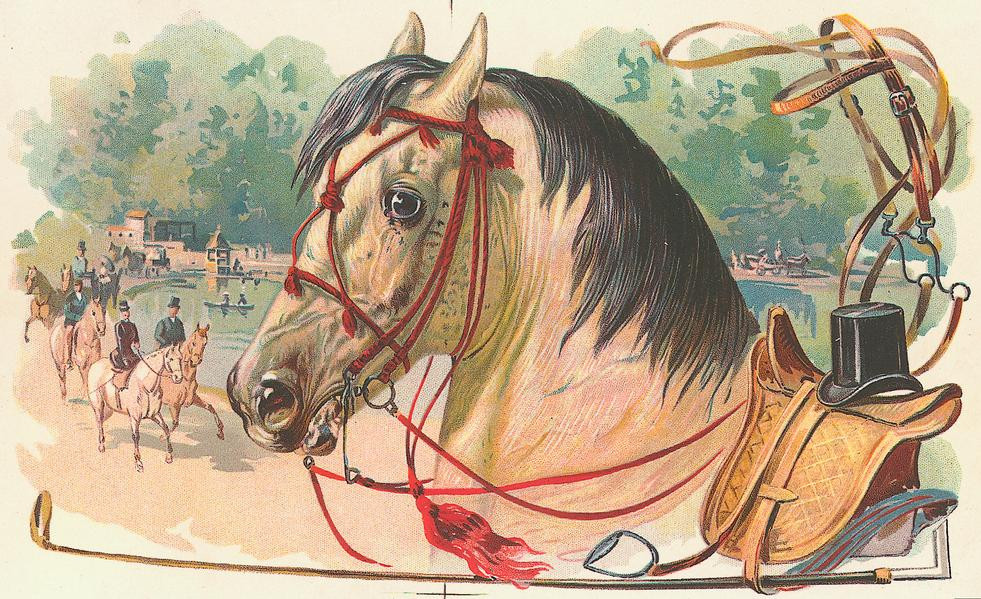 Horse head with red bridle, saddle and top hat — historic image