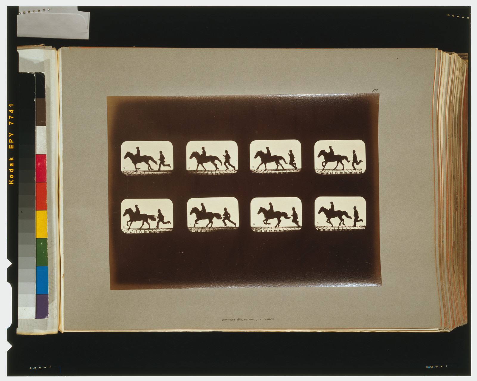 Horses. Cantering, [San Francisco] : Muybridge, c1881. — historic photograph