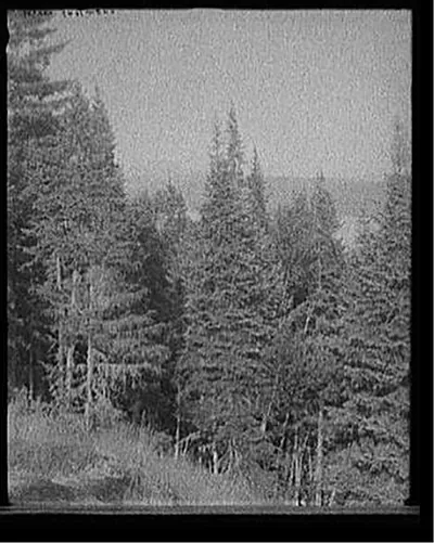 [Blue Mountain from the crags, Adirondack Mts., N.Y.]