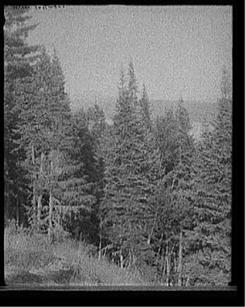 [Blue Mountain from the crags, Adirondack Mts., N.Y.], [between 1900 and 1910] — historic photograph