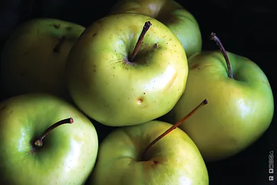 Green apples photographed close up on dark background