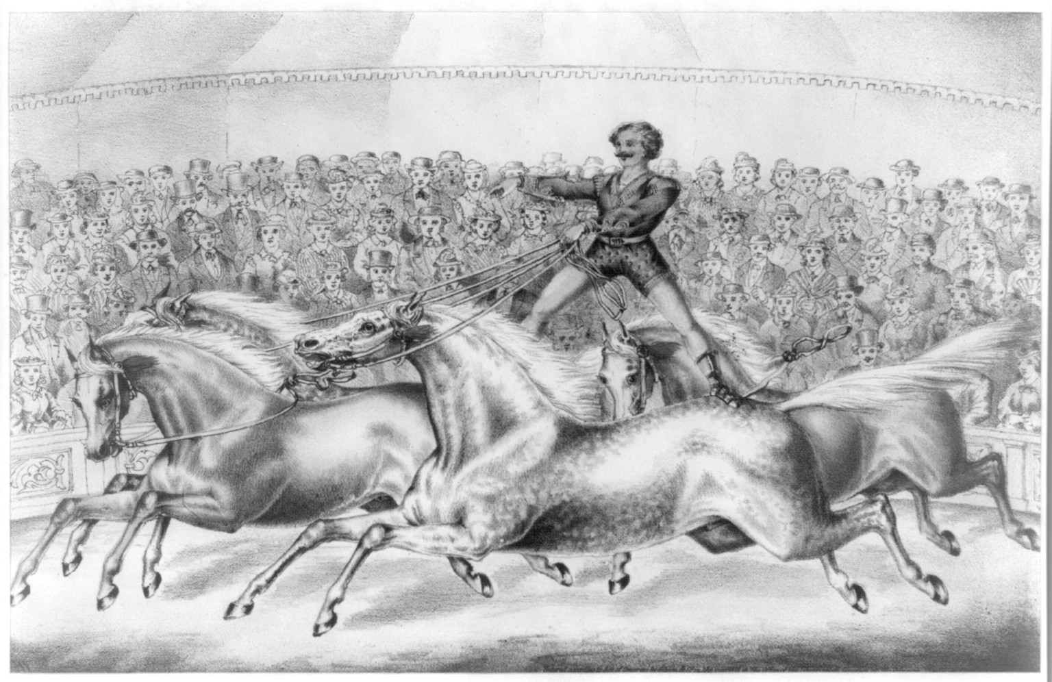 [Circus performer riding two horses at once], c1873. — historic print