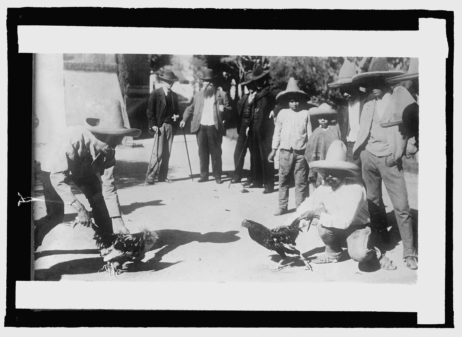 Mexico. Cock fight, [between 1909 and 1920] — historic photograph
