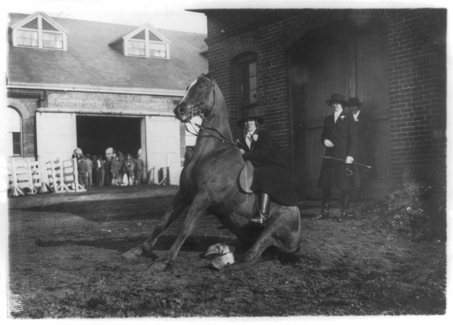 [Woman on seated horse at horse show in the Washington, D.C. area], [between 1909 and 1932] — historic photograph