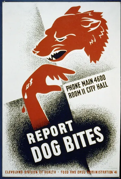 Report dog bites