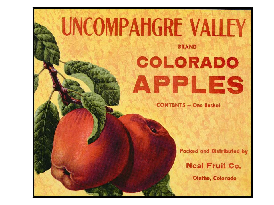 Uncompahgre Valley Brand Colorado Apples crate label — historic image