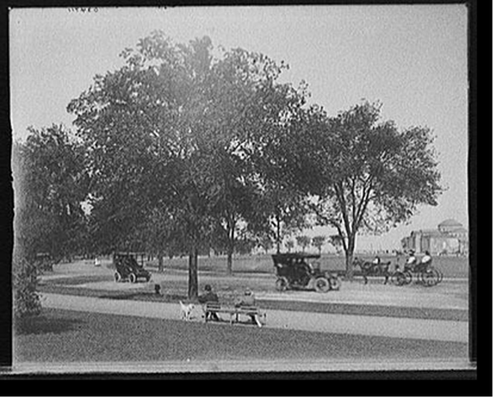 [Driveway, Jackson Park, Chicago, Ill.], [between 1900 and 1910] — historic photograph