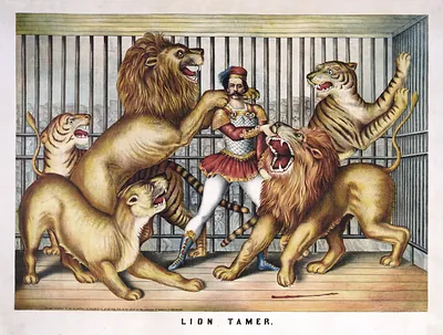 Lion Tamer