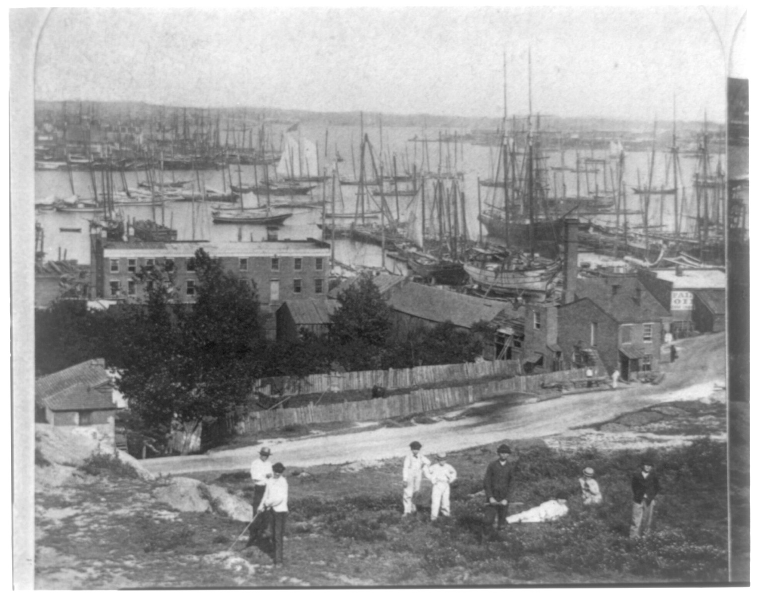 Baltimore Harbor, Baltimore, Md., [ca. 1870] — historic photograph
