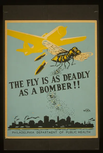 The fly is as deadly as a bomber!!