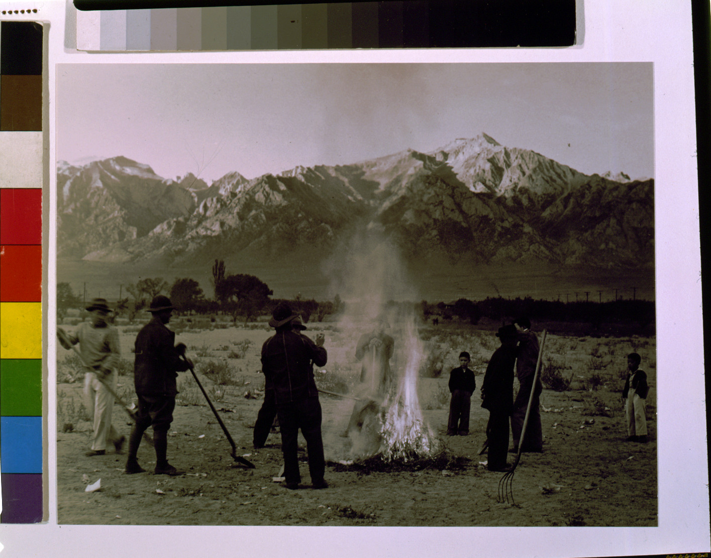 Burning leaves, autumn dawn, Manzanar Relocation Center, California / photograph by Ansel Adams., [1943] — historic photograph
