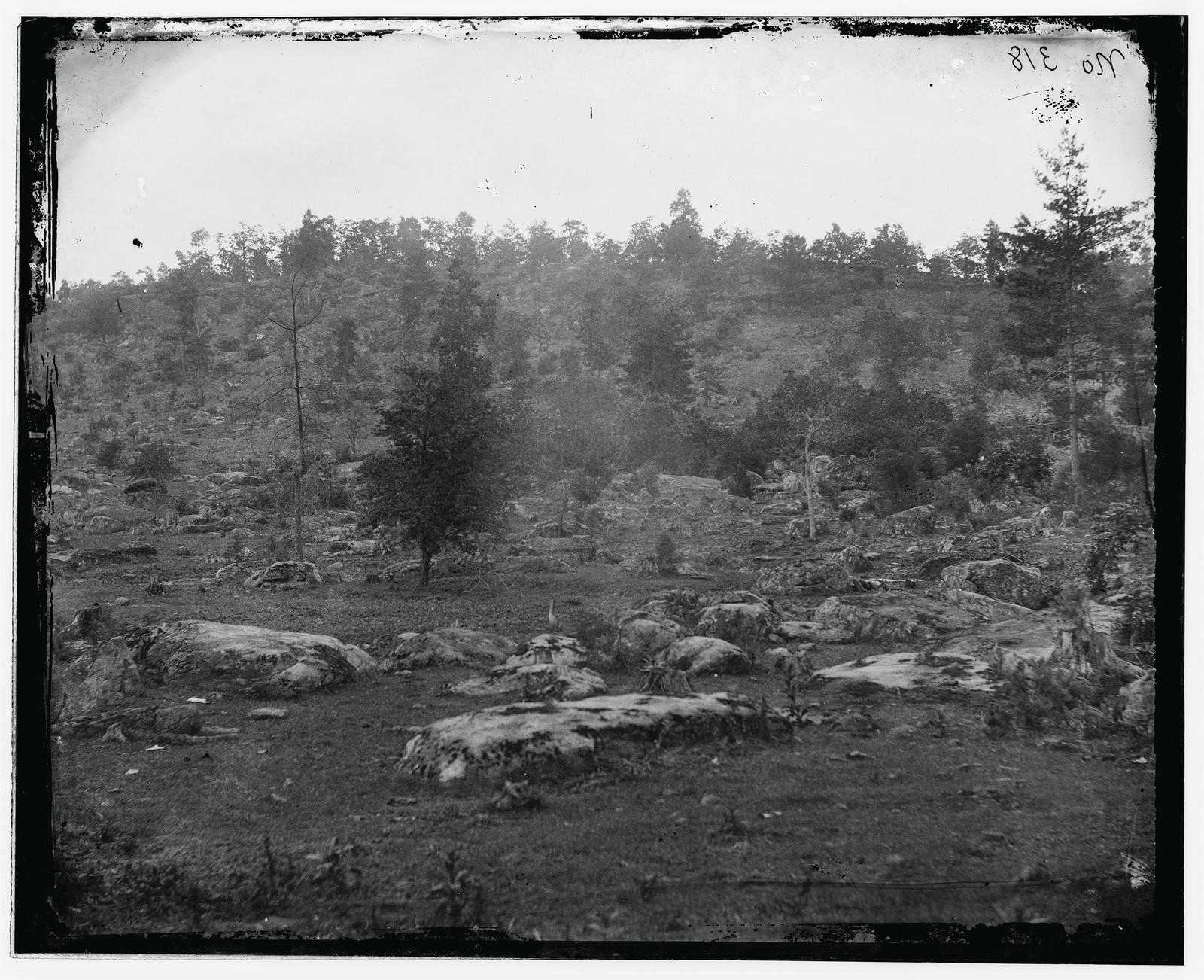Rocky hillside landscape with boulders and scattered trees — historic image