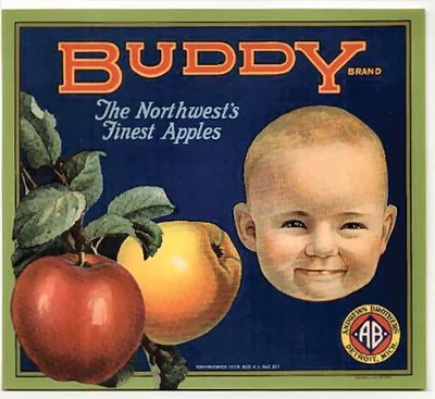Buddy Brand apples fruit crate label, Andrews Brothers Detroit