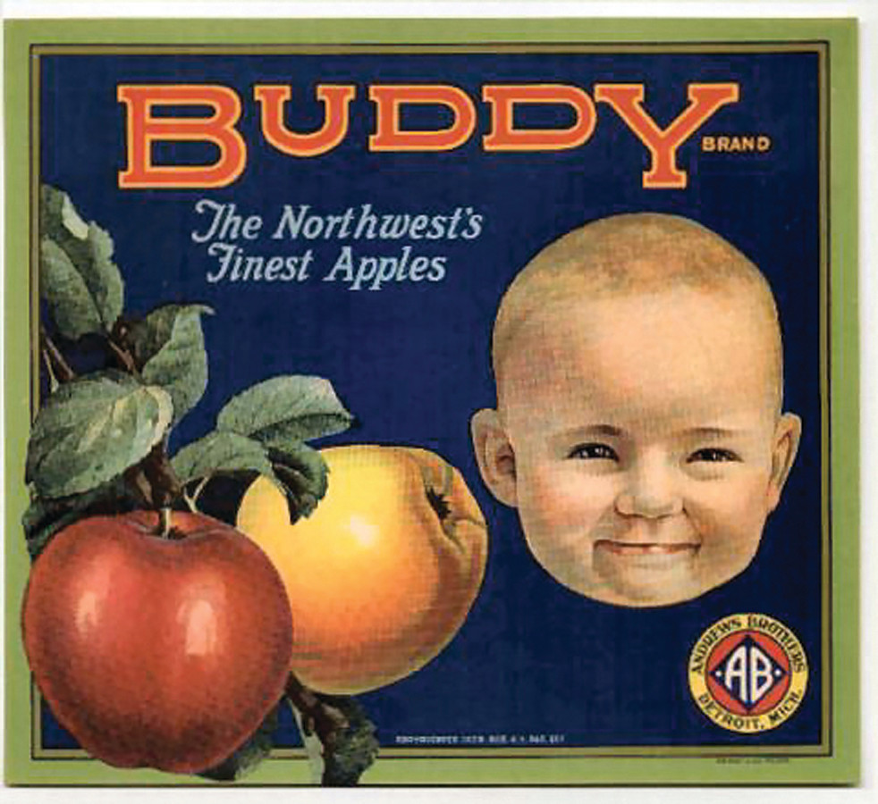 Collection of old canning and crate labels — historic image