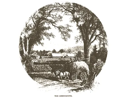 Wellesley College From Harpers Weekly 1876 4, Massachusetts