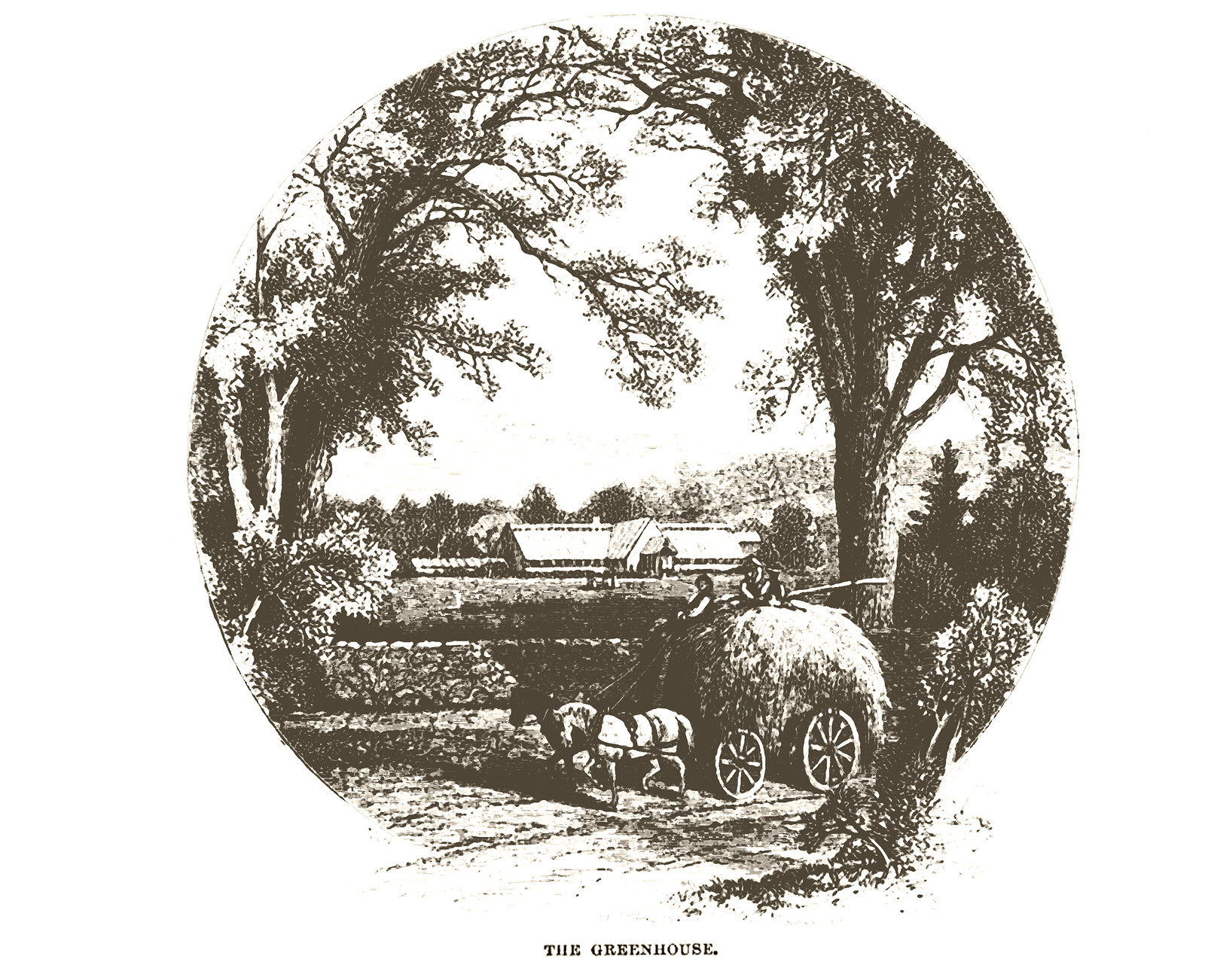 Wellesley College From Harpers Weekly 1876 4, Massachusetts — antique map