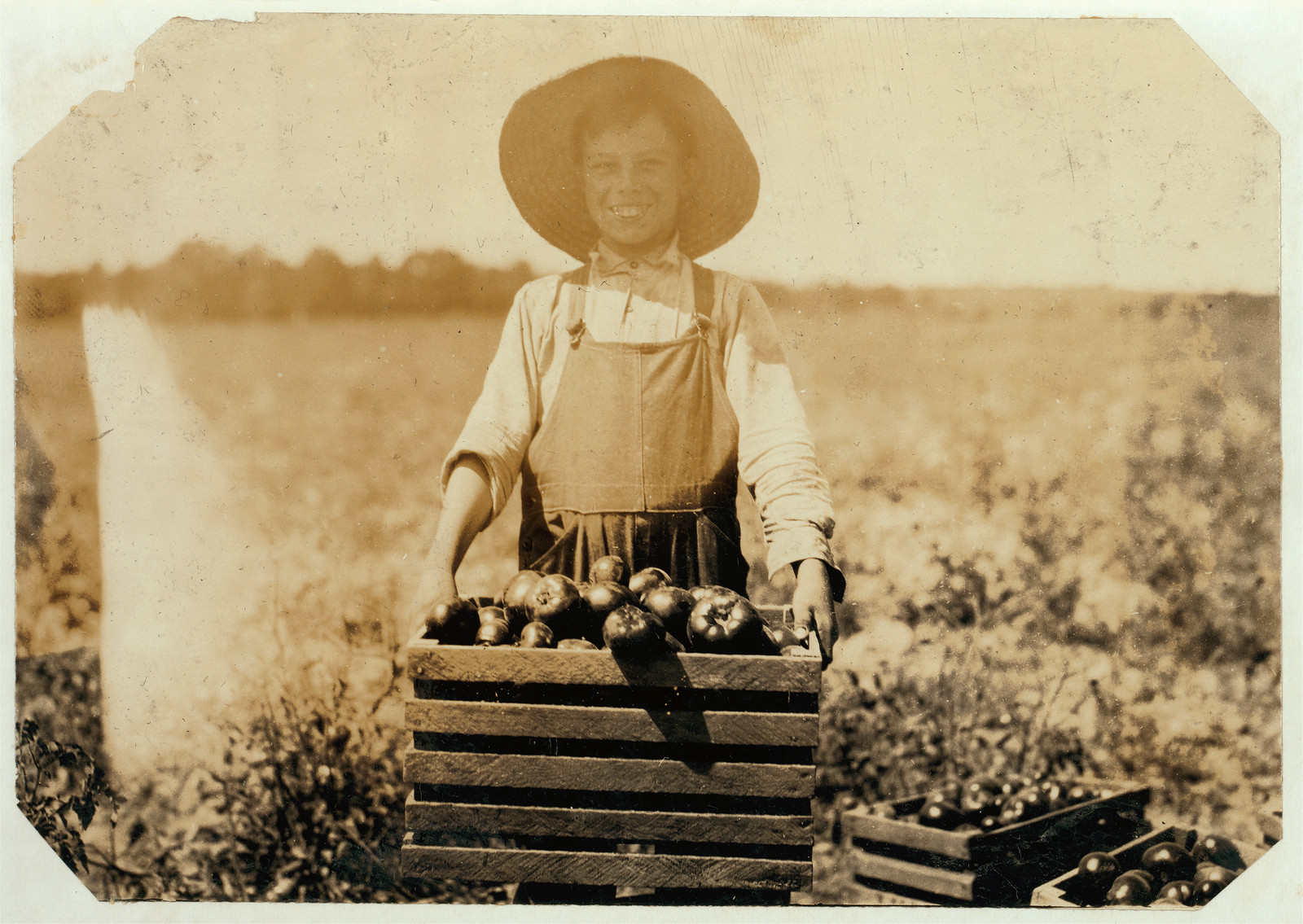 Smiling boy in hat holding crate of apples — historic image