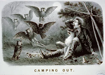 Camping out: A life in the woods for me""