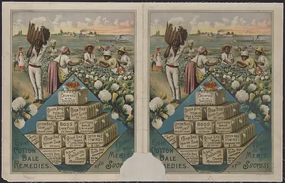 Eight Cotton Baleremedies Crowned