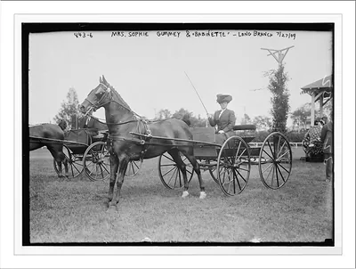 Mrs. Sophie Gummey in horse-drawn hack, drawn by "Babinette", Long Branch