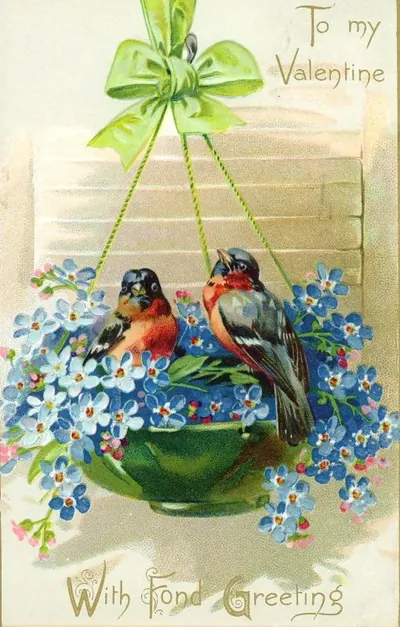 Two birds among forget-me-nots, To my Valentine postcard