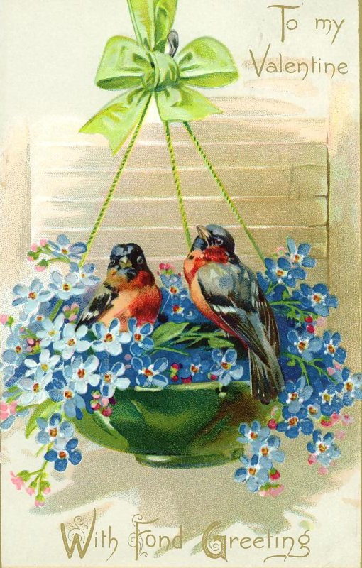 Two birds among forget-me-nots, To my Valentine postcard — vintage postcard