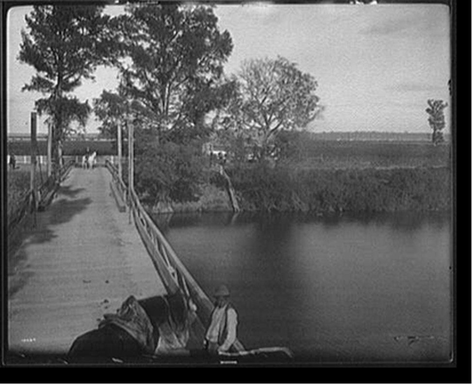 Richmond cotton plantation, Mississippi, [1890 October] — historic photograph