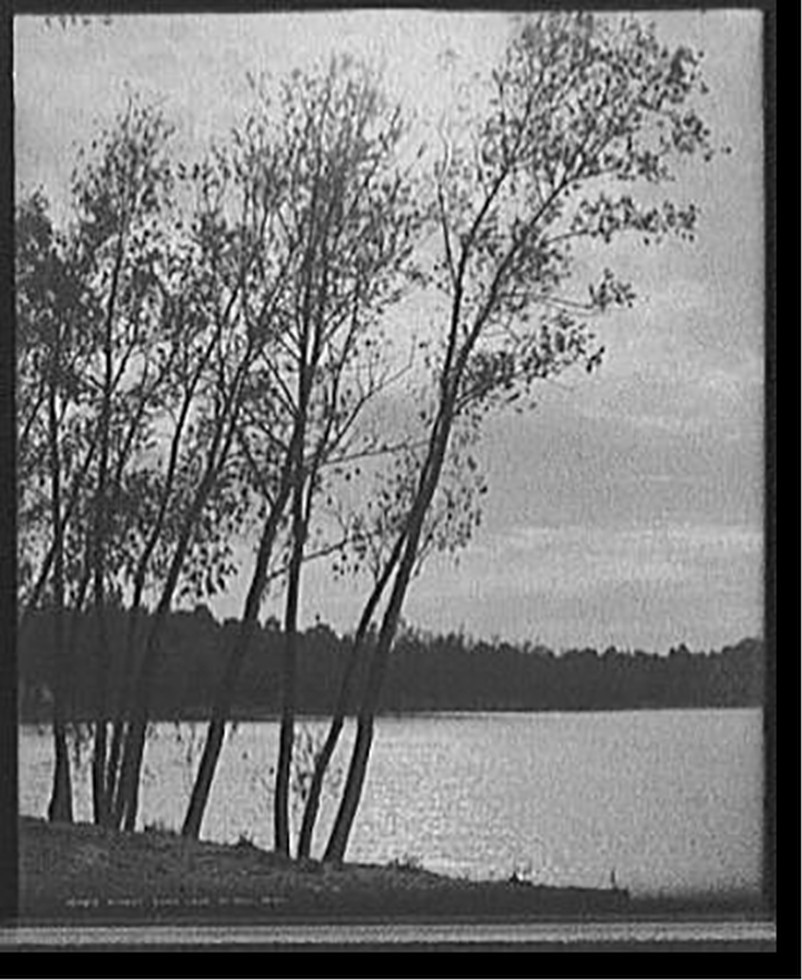 Sunset, Como Lake [i.e. Lake Como], St. Paul, Minn., c1908. — historic photograph