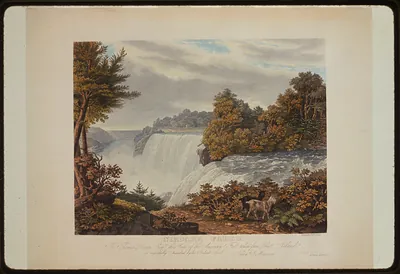 Niagara Falls. To Thomas Dixon esq. this view of the American Fall taken from Goat Island / painted & engd. by W.J. Bennett ; printed by J. Neale.