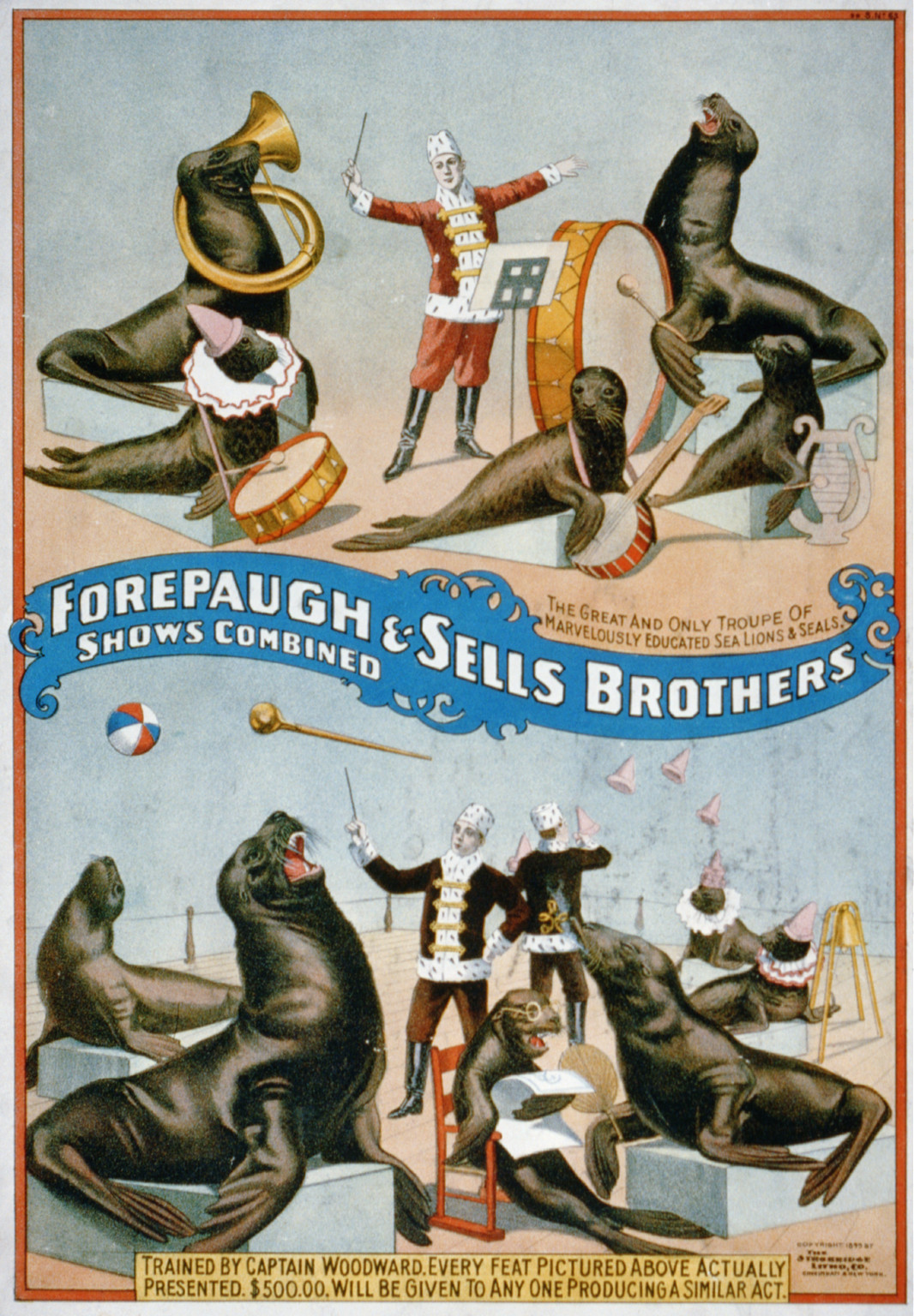 Forepaugh & Sells Brothers shows combined / The Strobridge Litho. Co., Cincinnati & New York., c1899. — vintage poster