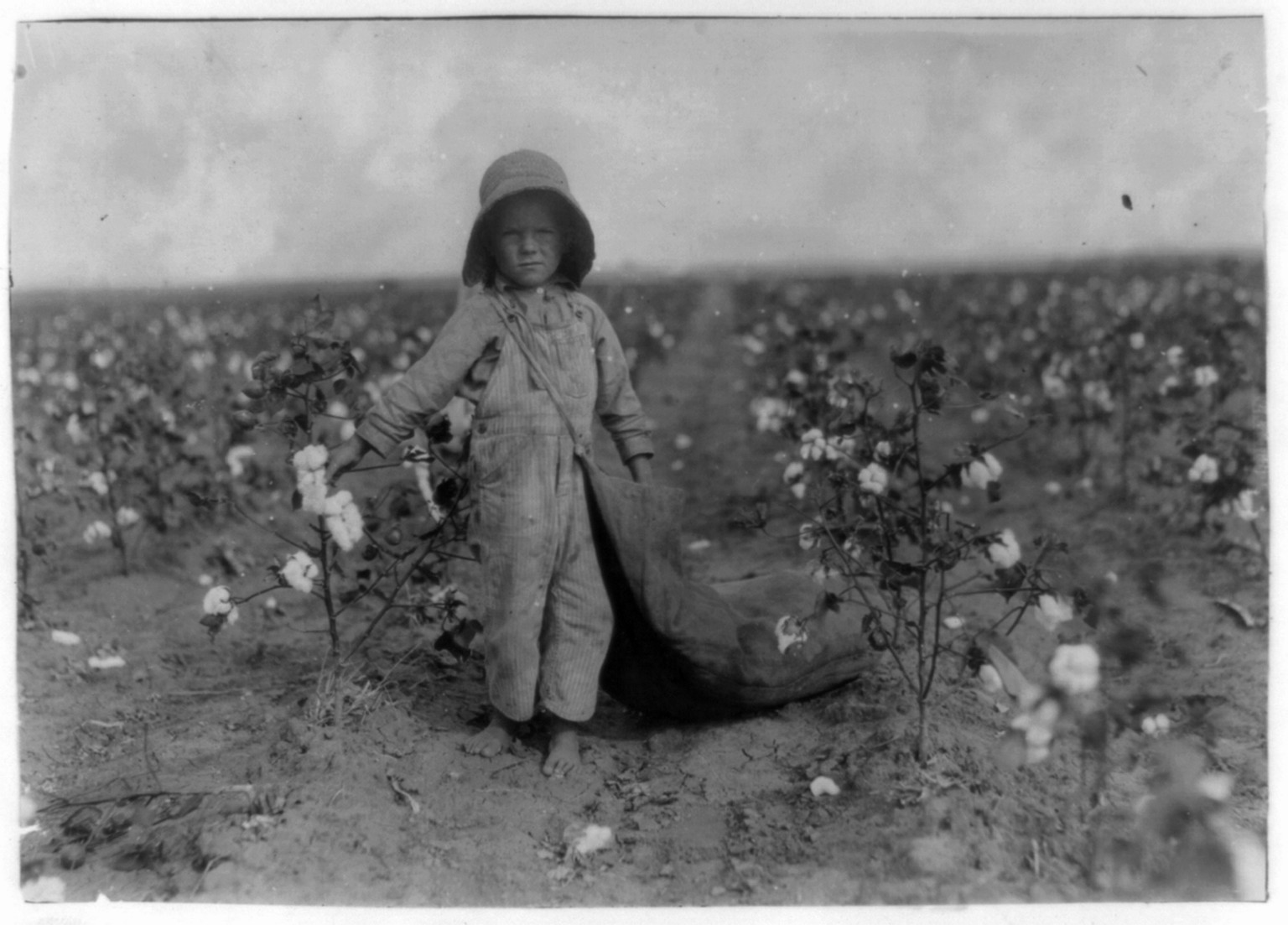 5-year old Harold Walker. See 4564 and 4565. Location: Comanche County--[Geronimo], Oklahoma / Lewis W. Hine., 1916 October 10. — historic photograph