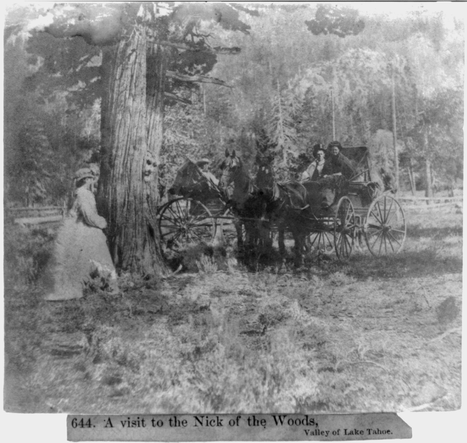 A visit to the Nick of the Woods, Valley of Lake Tahoe, [published 1866] — historic photograph