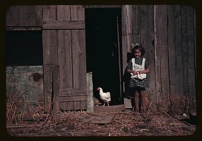 Girl standing by barn door with white chicken
