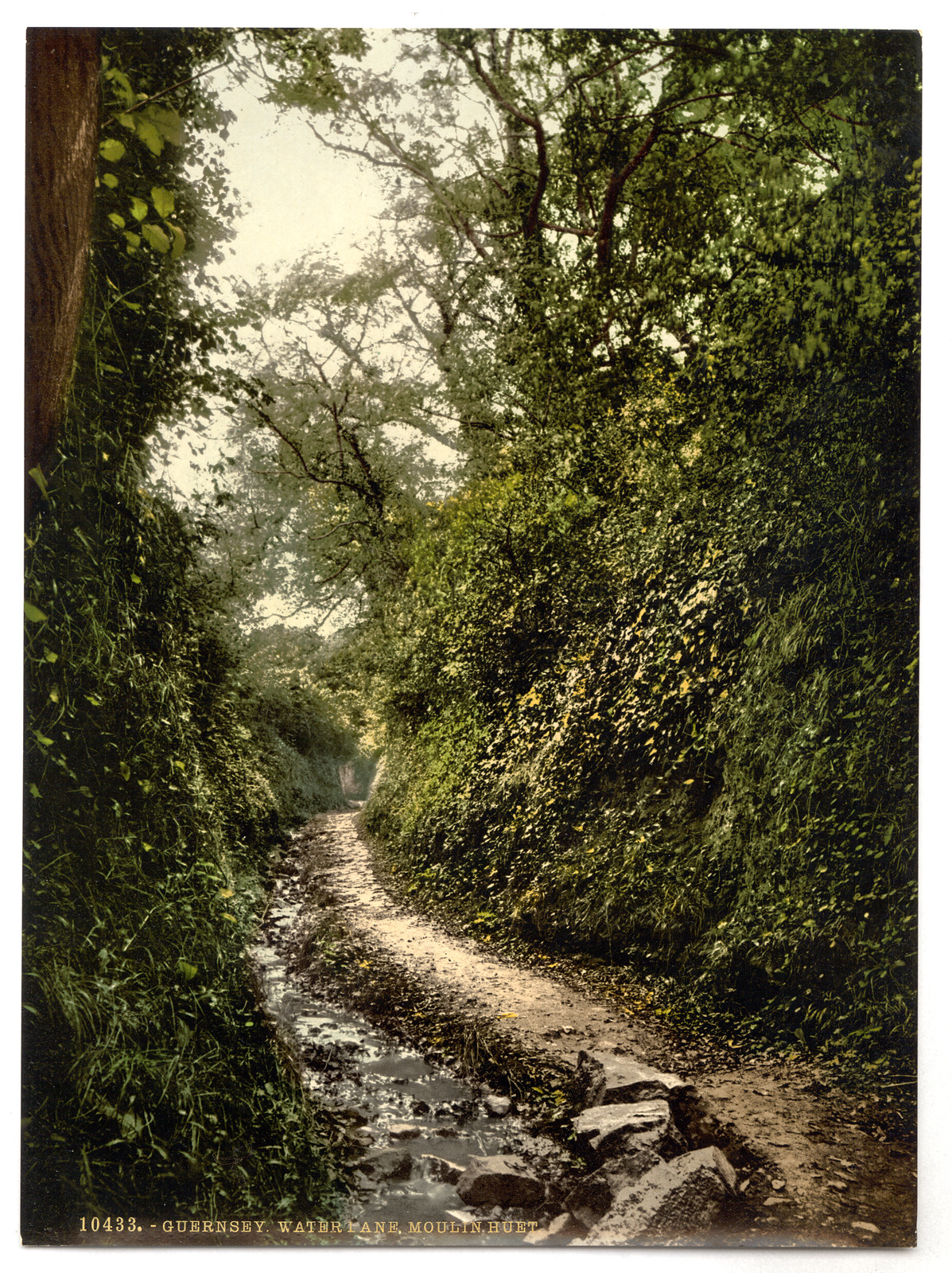 Guernsey water lane Moulin Huet Channel Islands England, [between ca. 1890 and ca. 1900]. — historic print