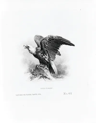 Bald eagle / American Bank Note Co.