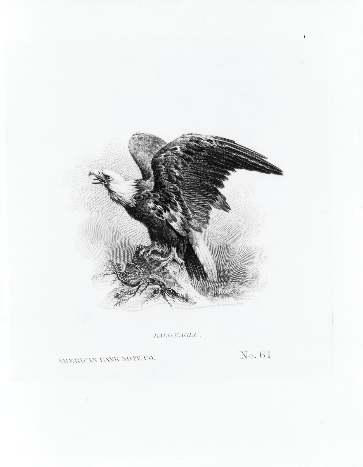 Bald eagle / American Bank Note Co., [c1859 or c1860] — antique engraving