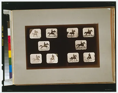 Horses. Running--Horses. Cantering.