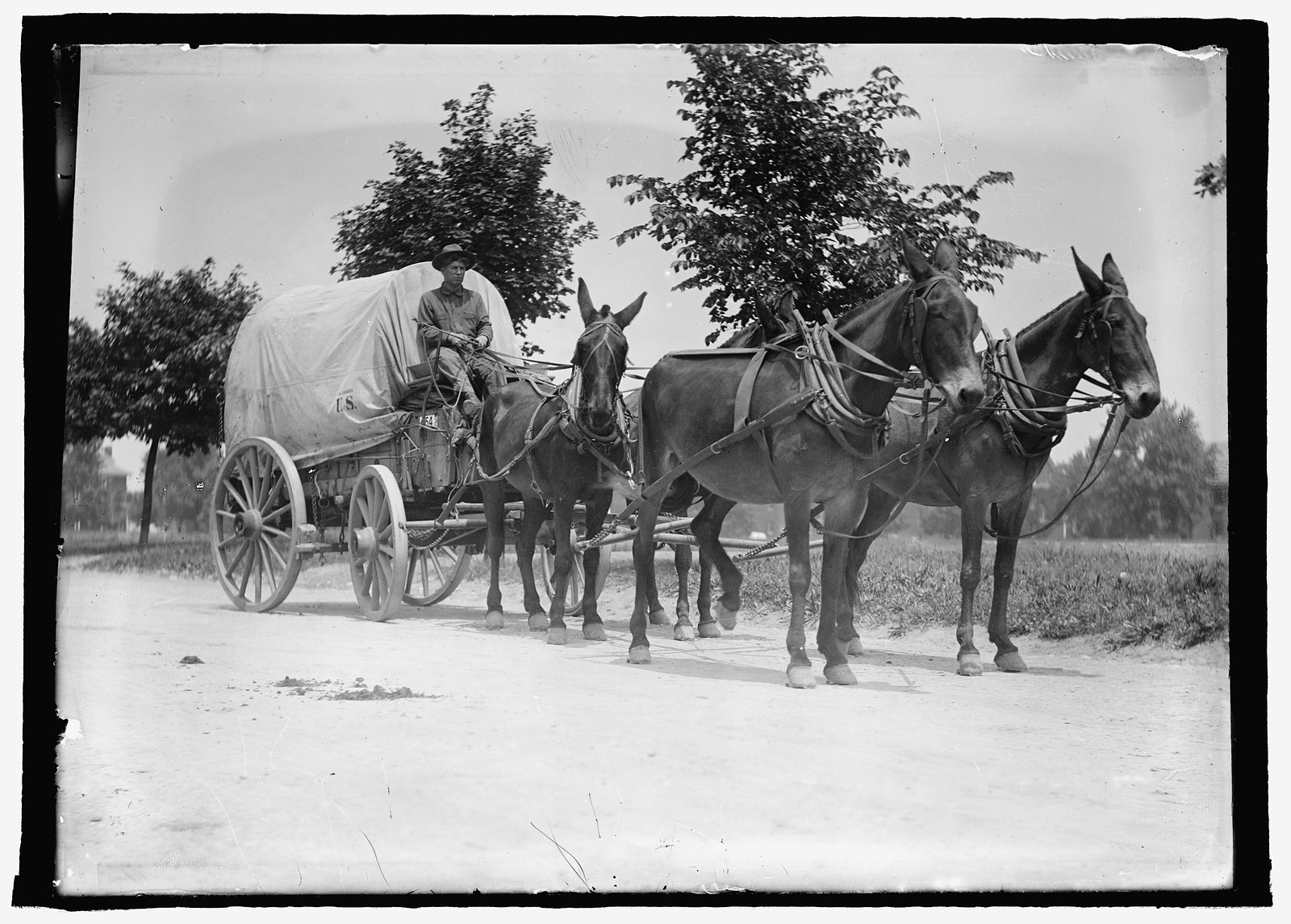 U.S. Army mule team & wagon, [between 1909 and 1940] — historic photograph