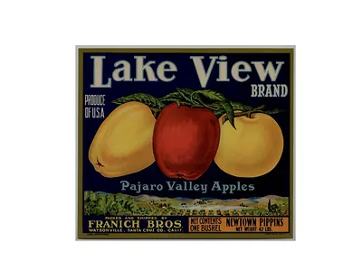 Lake View Brand Pajaro Valley Apples crate label