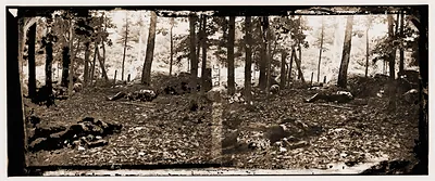 Gettysburg Pennsylvania. Scene in the woods at the foot of Round Top